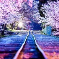 オリジナル楽曲 - きな粉餅