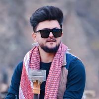 zed_assaf