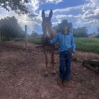 marcos.junio78