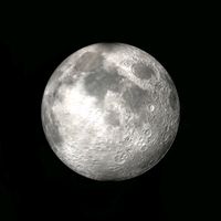 original sound - 🐒irum🐧🐇