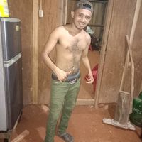arielnica
