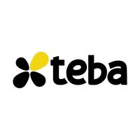 teba.shfaram