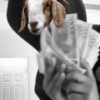toffeee.the_kid6