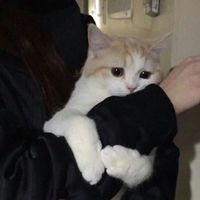 음원 출처 꽉잡아ost 썬더드래곤