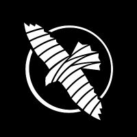 hayabusacombat