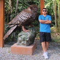 nilomedinaretamozo