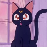 オリジナル楽曲 - ♡ るな/CapCut ♡