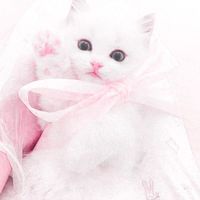 オリジナル楽曲 - ╰ᘏᗢ