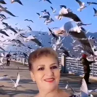 original sound - hilda.higuera1