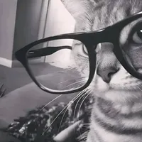 original sound - zny_l