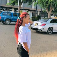 mdolly19