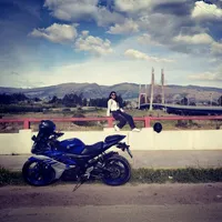 rata de 2 patas