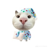 sornmi_69