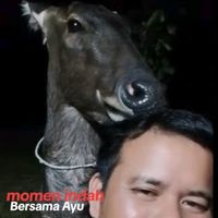 muhammadalvian891