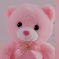 chandani1282