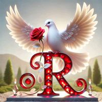 rr159328