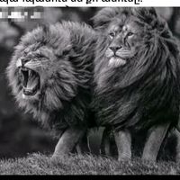 aliyan___51