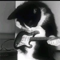 suara asli - —Hɑׁׅ݊ꪀ¡ꪱׁׅ☃️