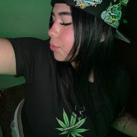 icos95