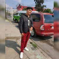tiernitos_trukiing