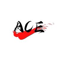 top.ace_official