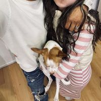 soninikr