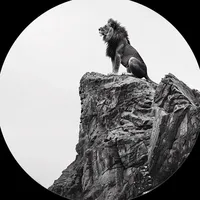 original sound - userbroke78484939