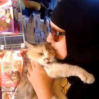 abouhodaifa.naima