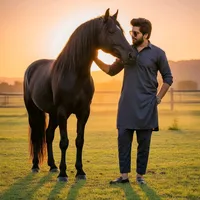 original sound - hammadrana033