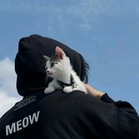 _habibiy_003_