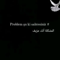 orijinal ses