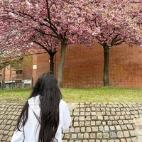 original sound - kriael.marie28