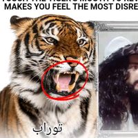 turabkhan033