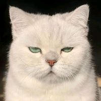 suara asli - Bryannn🚀🚀