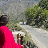 rubinamalik_2024