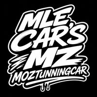 mle_cars_mz