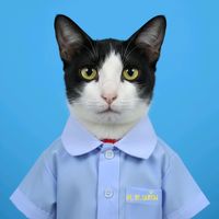 เสียงต้นฉบับ - 🌈milk😺🌻