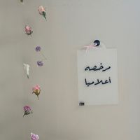 aa_zz105