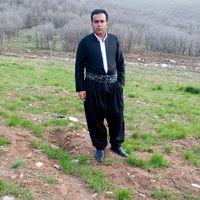 peshrawnzaray