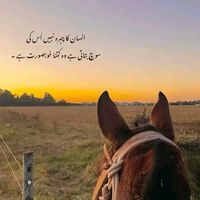 samimughal9292