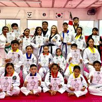 fenixtaekwondo