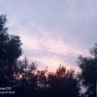 glez05_