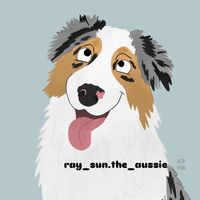 ray_sun.the_aussie