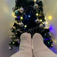 rolitas.j