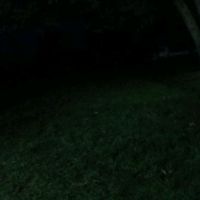 editor_el1