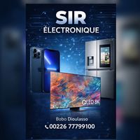 sir_electronique19