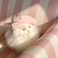 suara asli - MeOsaragii