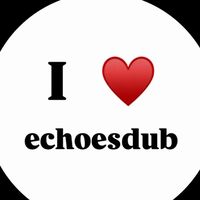 echoo393