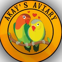 original sound - akash_akay47