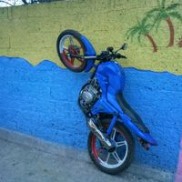 bakinecc.044